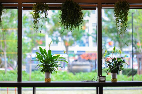 Les Enjeux Clés d"une Carrière dans la Gestion Durable des Infrastructures de Transport